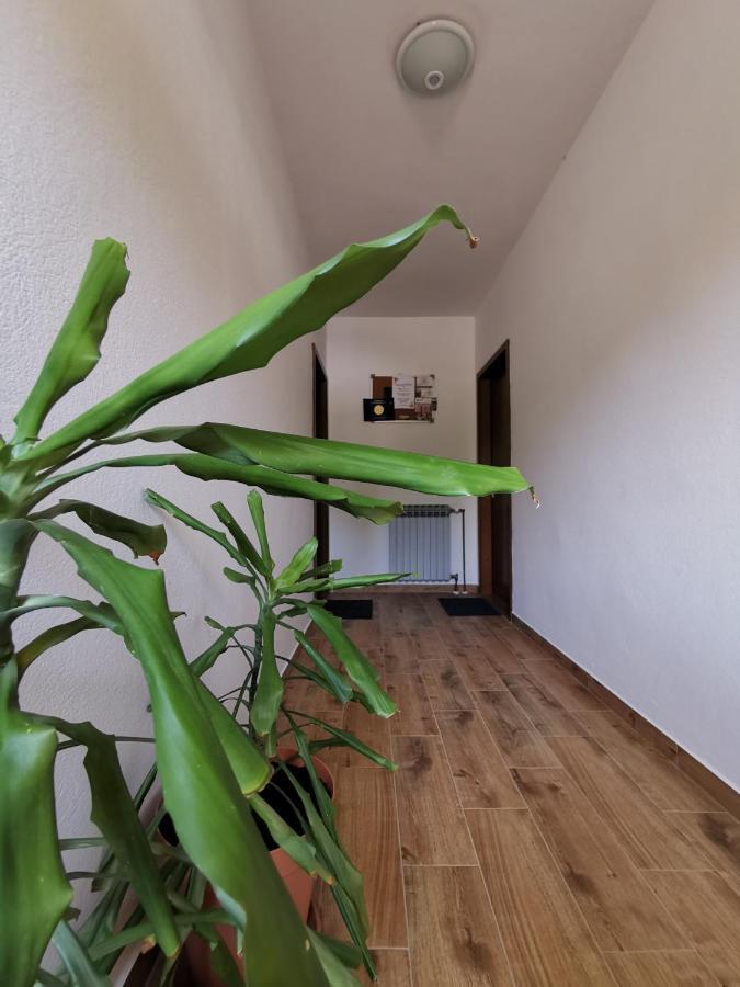 Apartment Martina Banjol Exterior photo